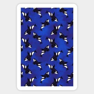 Killer whale Sticker